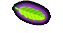 About CWWSC