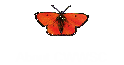 About CWWSC