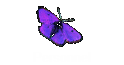Personnel