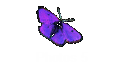 Photos 5