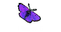 Photos 6
