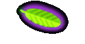 Policy