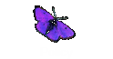 Policy