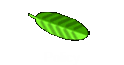 Policy