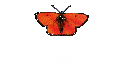 Policy