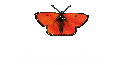 The Expedition