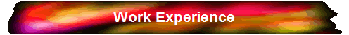 Work Experience